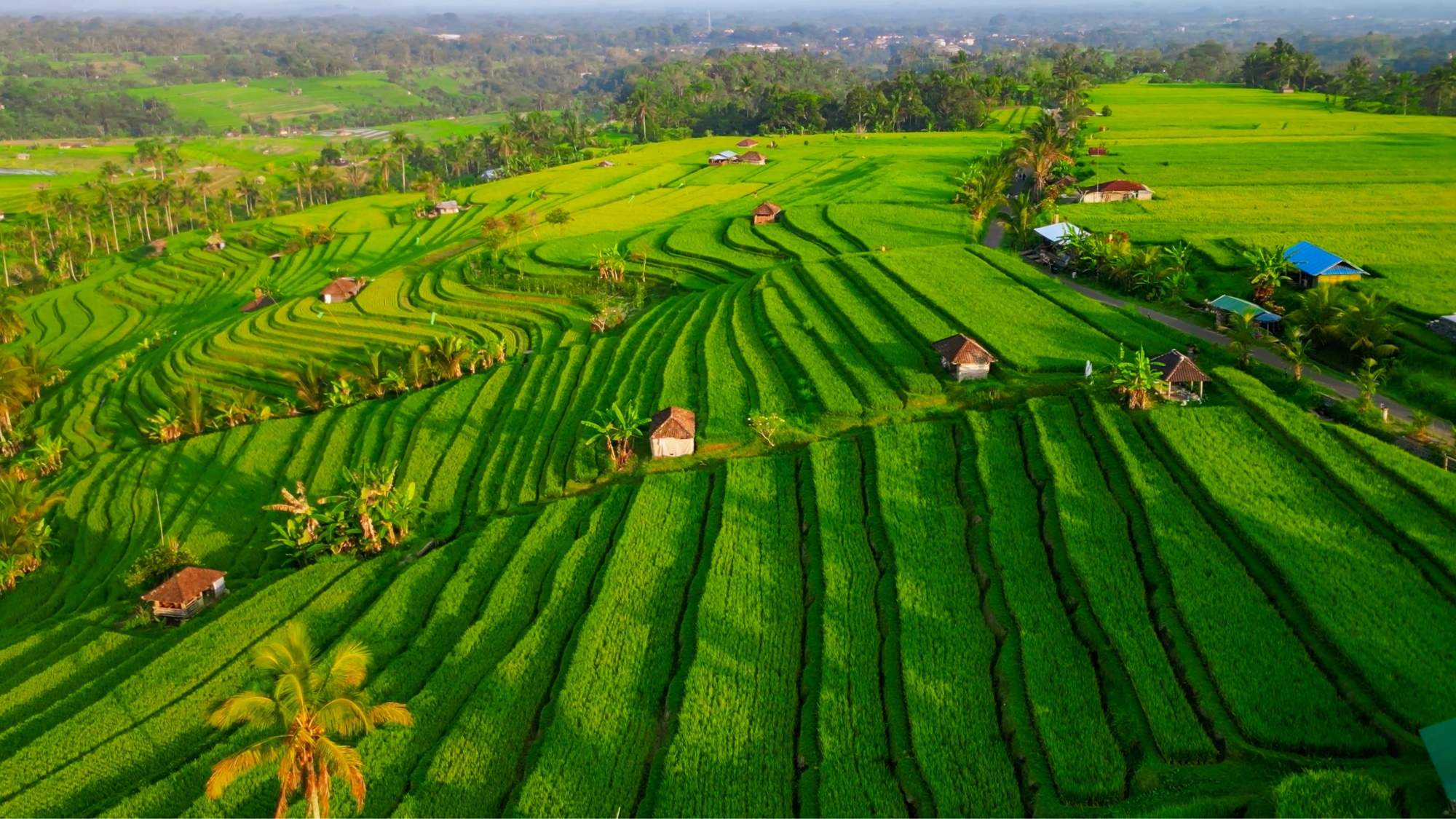 Jatiluwih, Bali, Indonésie ©Shutterstock.com