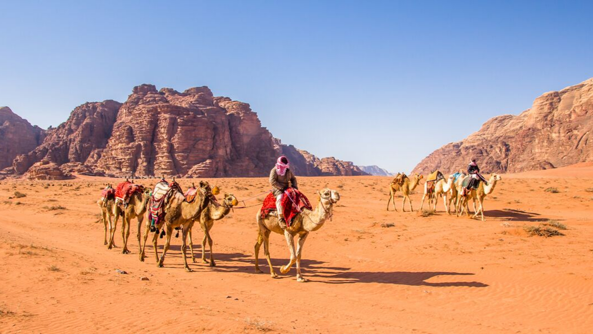 Puis à dos de chameau !