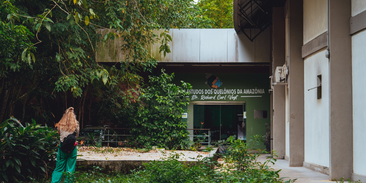 Visitez l'association de protection des mammifères marins