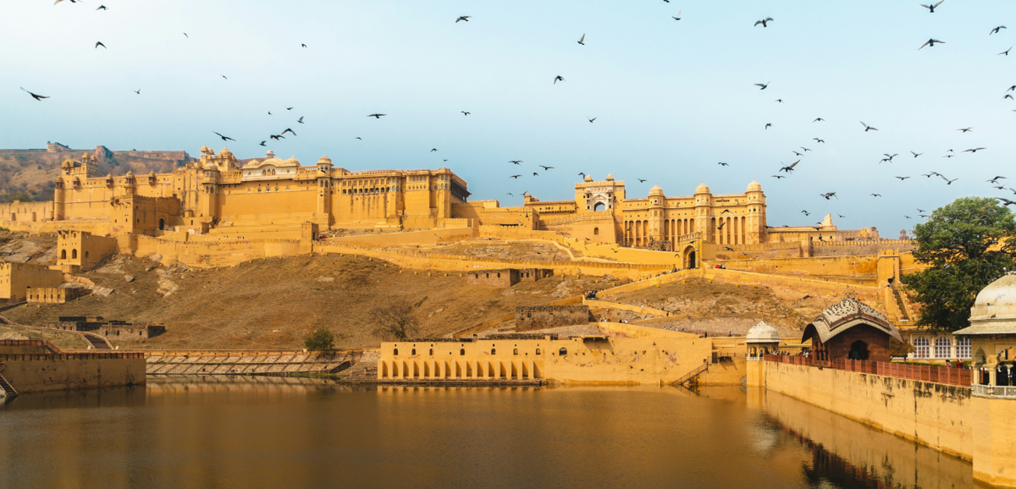 Fort d'Amber, Jaipur, Rajasthan, Inde
