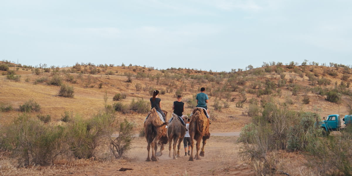 Une balade en méharée - jour 6 