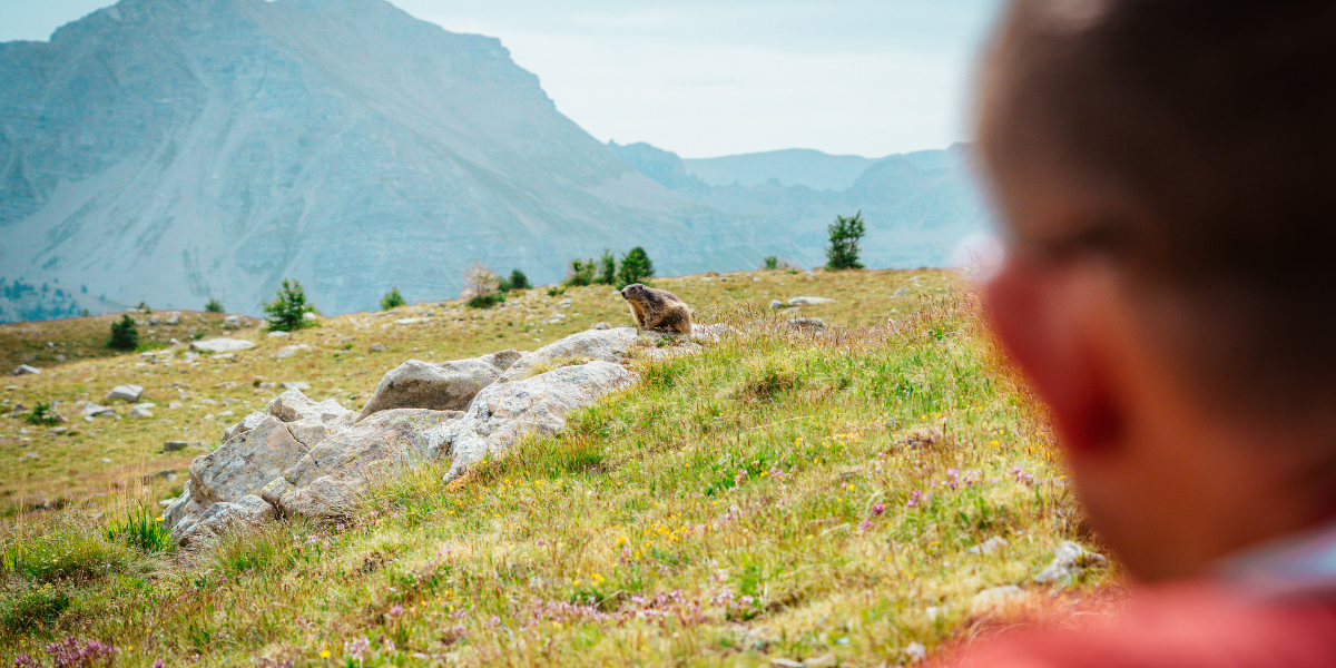 A la rencontre des locaux ! 