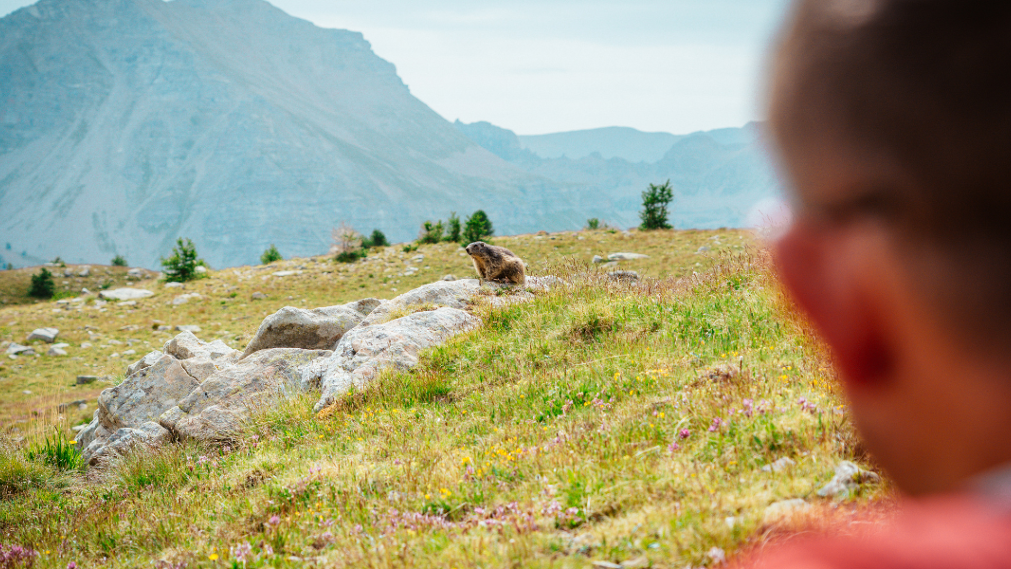 A la rencontre des locaux !