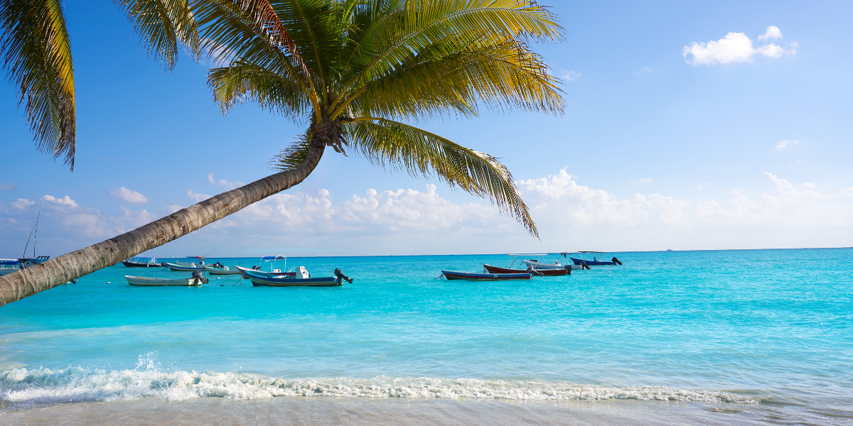 Et profitez de la plage paradisiaque