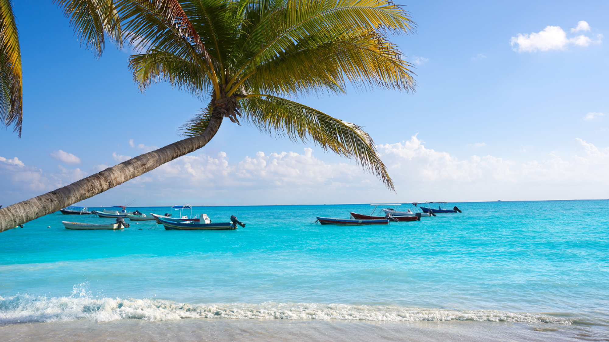 Et profitez de la plage paradisiaque