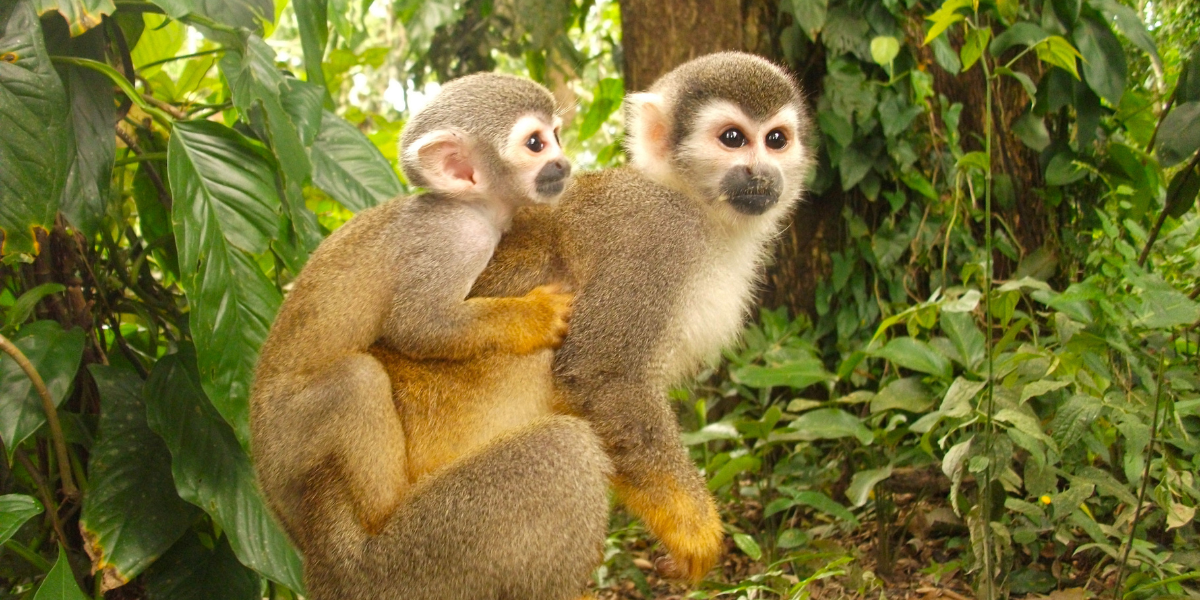 Et ouvrez grands les yeux pour observer la faune et la flore qui vous entoure ! 