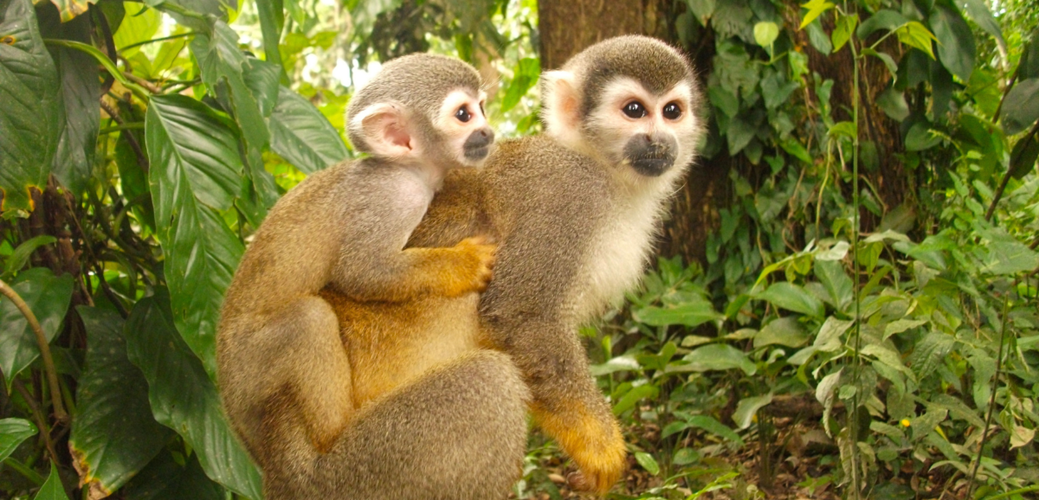 Et ouvrez grands les yeux pour observer la faune et la flore qui vous entoure !