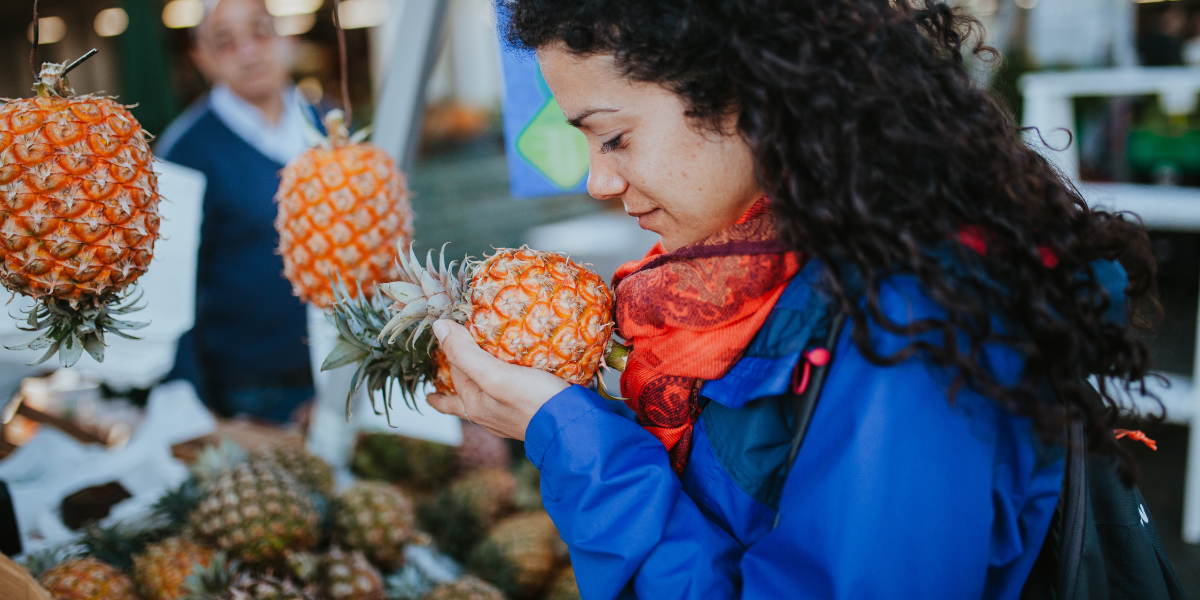 La visite d'une plantation d'ananas et dégustation - Jour 5
