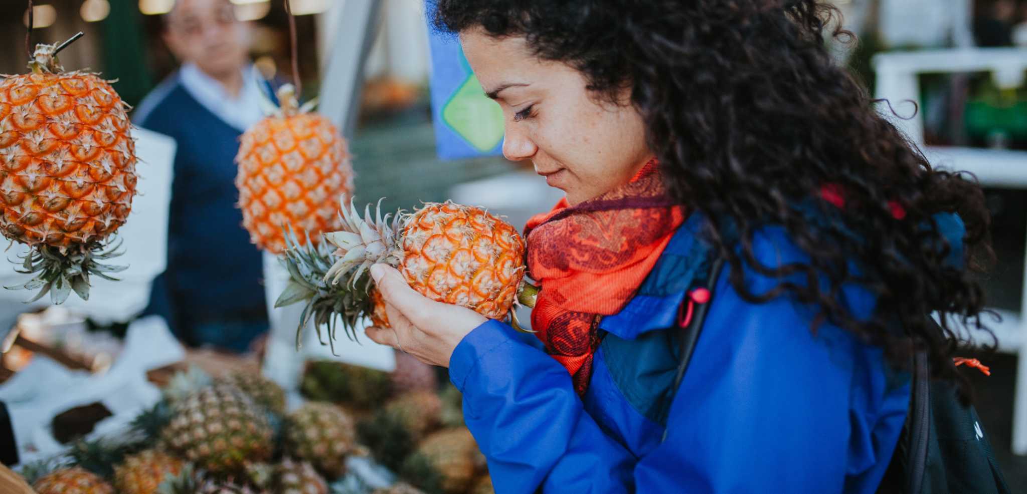 La visite d'une plantation d'ananas et dégustation - Jour 5
