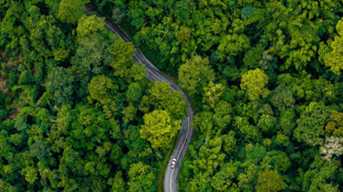 Forêt Phang Nga, Thaïlande ©Shutterstock