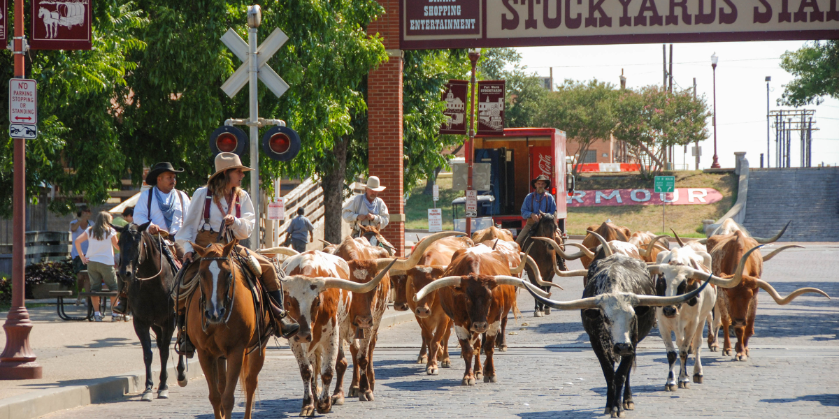 La visite de Fort Worth, pays du Far West, J6
