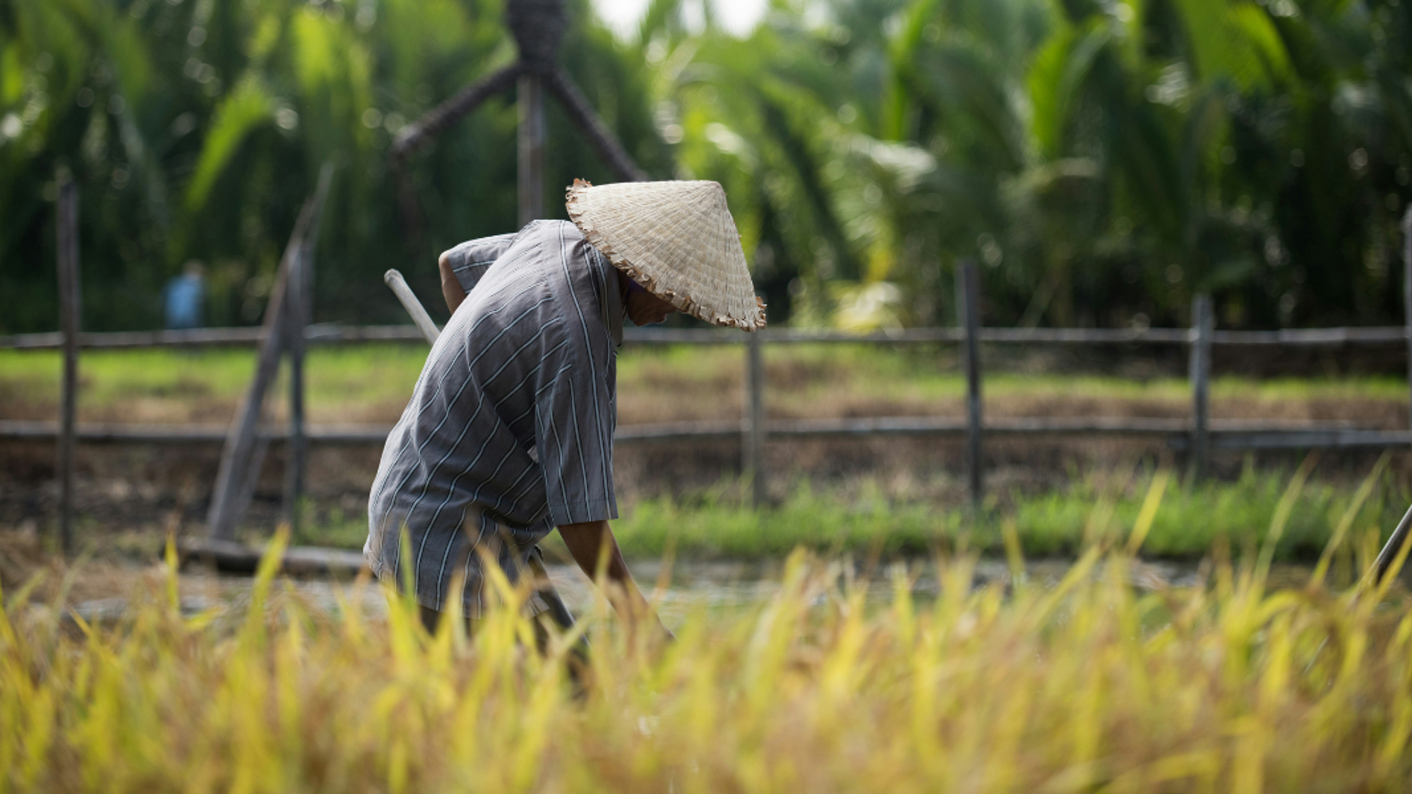 Vietnam ©Daniel Klein / Unsplash