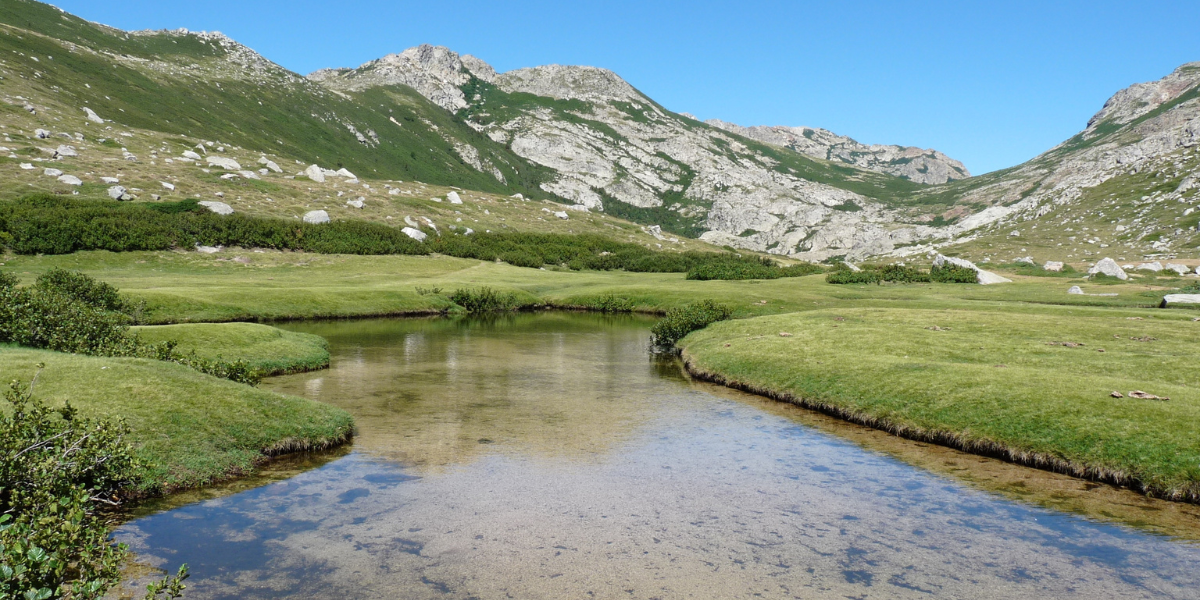 Une plongée dans la nature sauvage de la Corse 