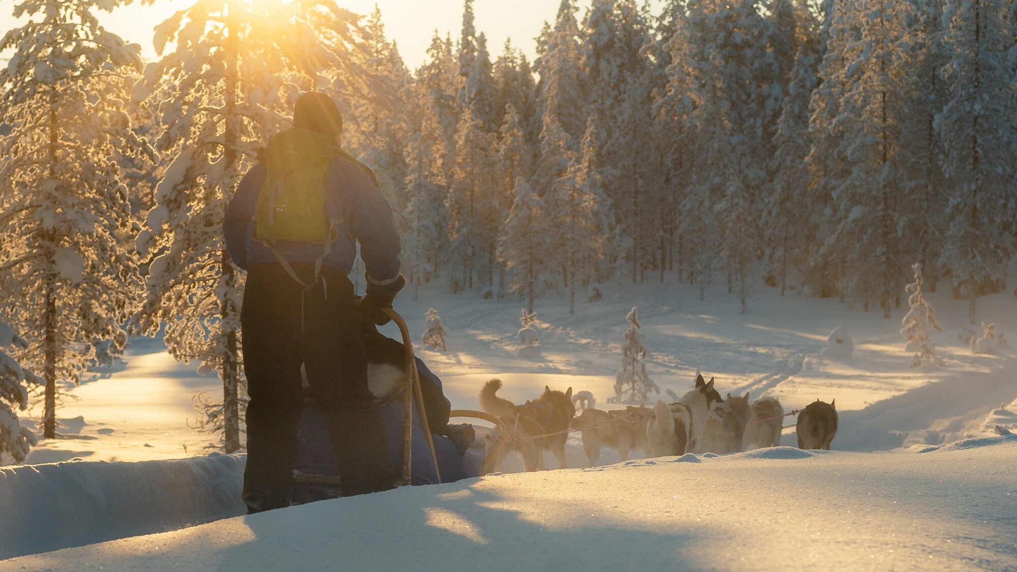 Expédition en traîneau à chiens, Salla, Finlande ©Salla Wilderness Park