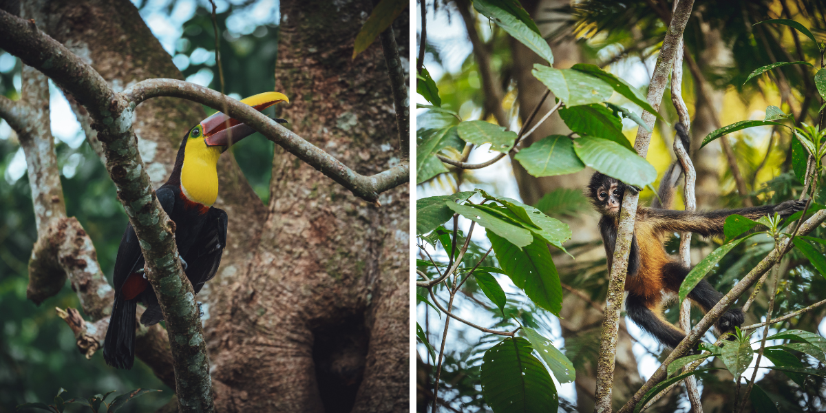 A la découverte de la faune...
