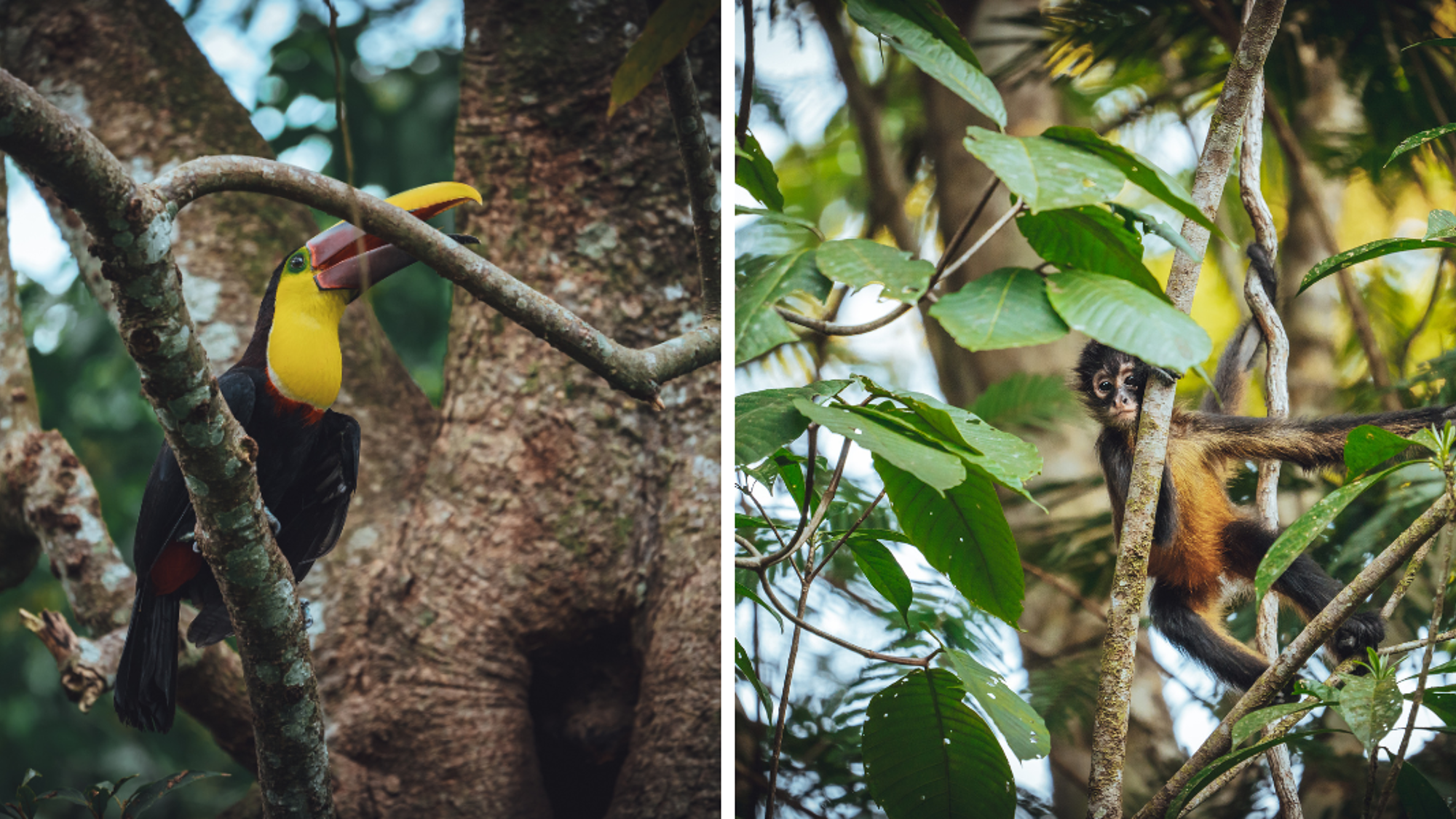 A la découverte de la faune...