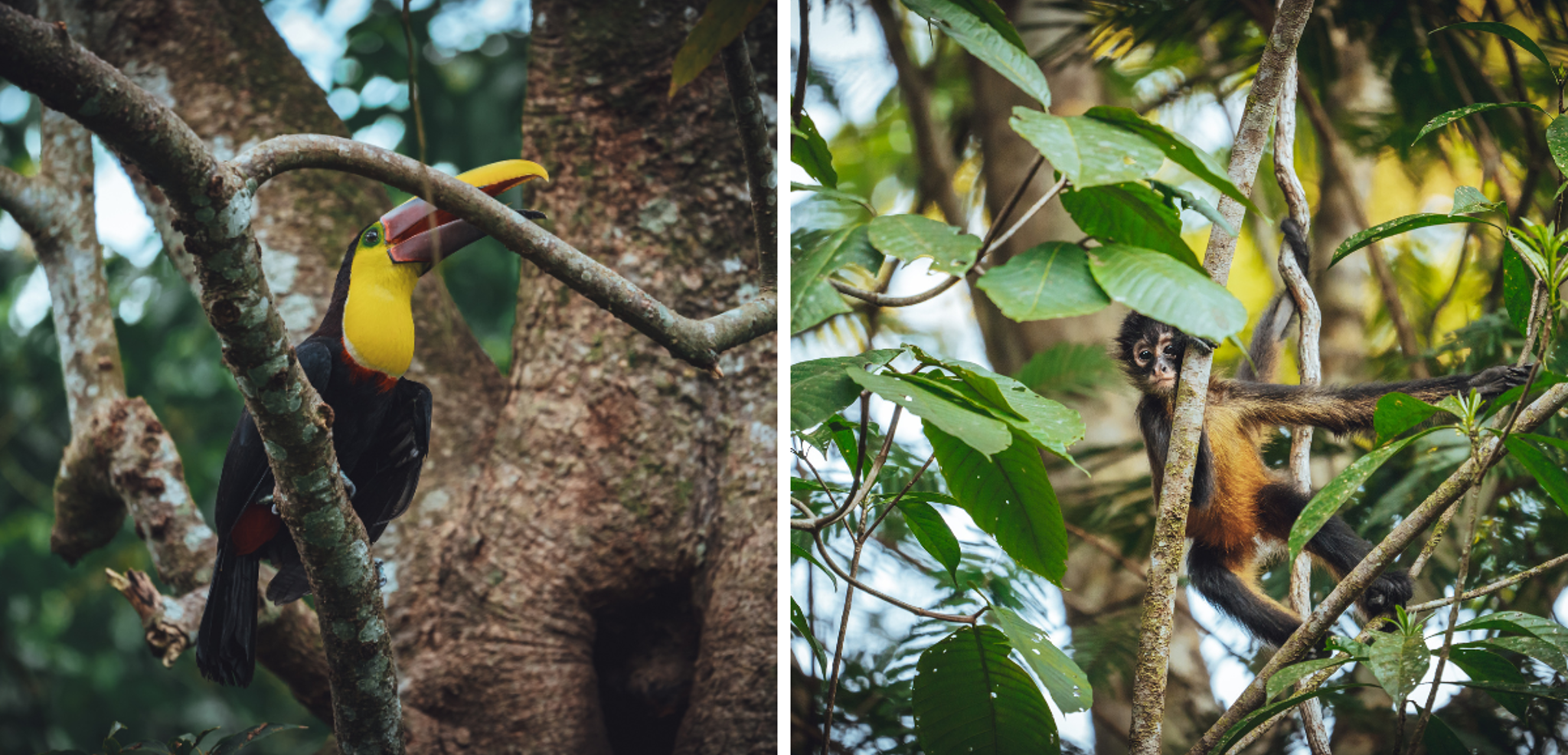A la découverte de la faune...