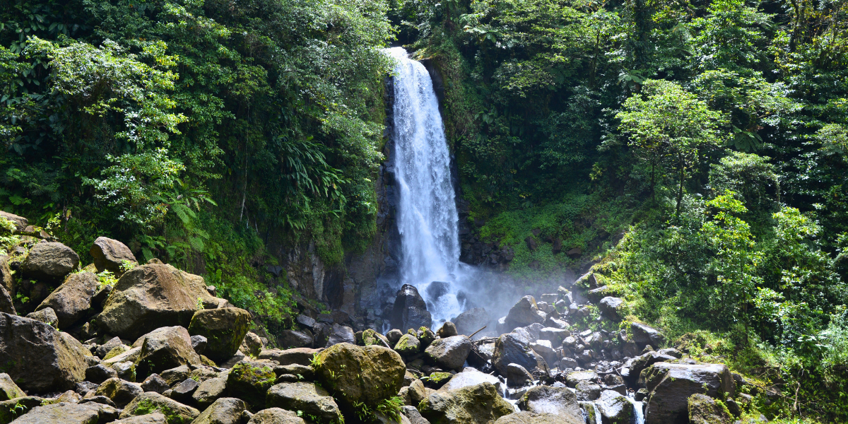 La cascade de Trafalgar Falls 