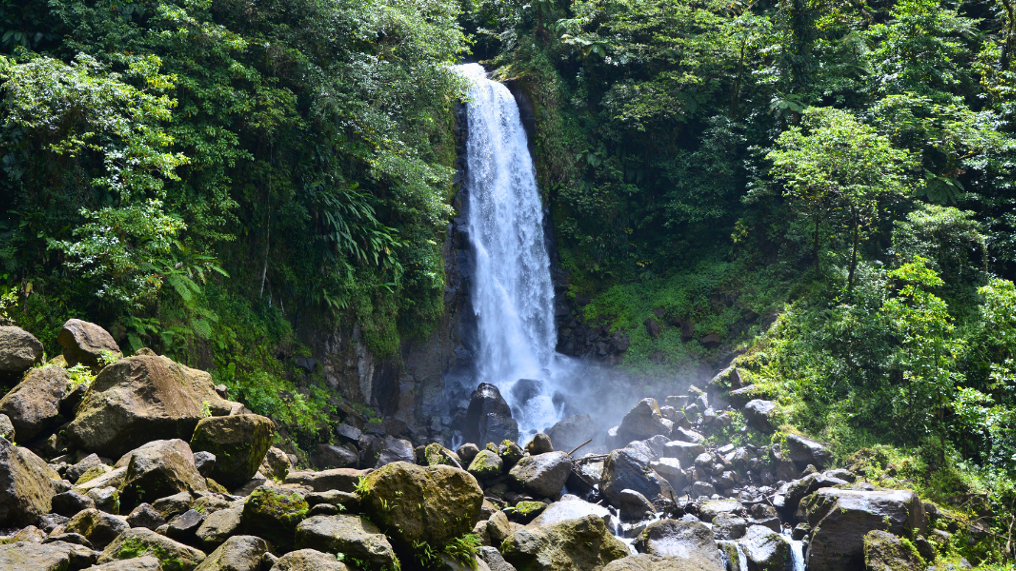 La cascade de Trafalgar Falls