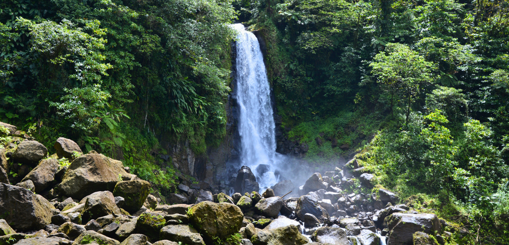 La cascade de Trafalgar Falls