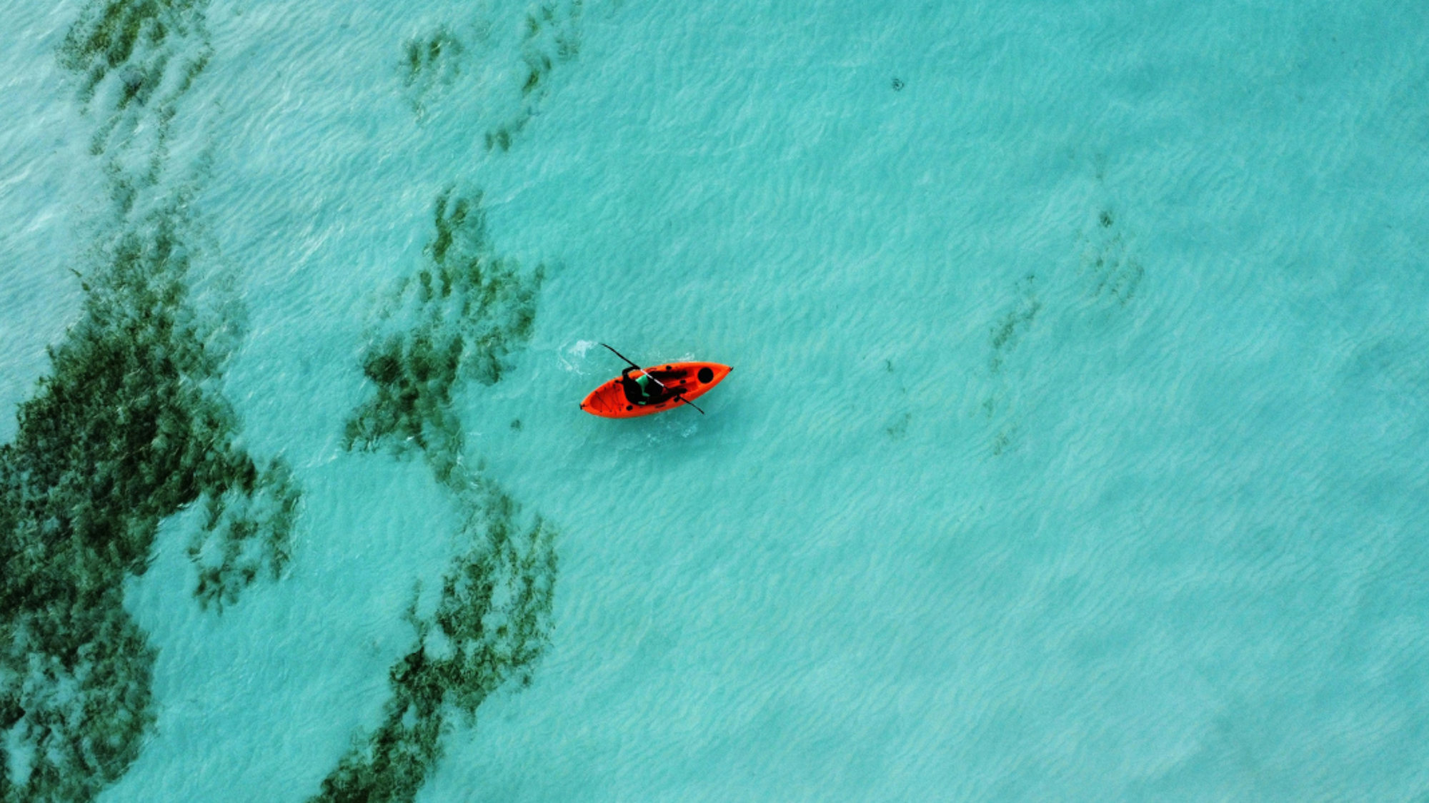 Maldives, ©Saffu / Unsplash