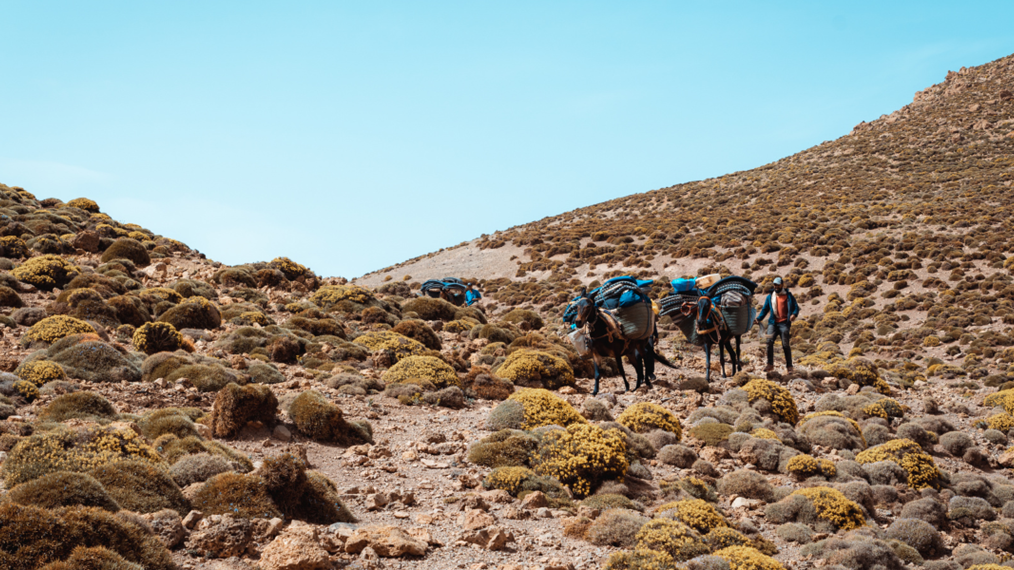 Trek Atlas, Maroc ©Maxime Moreau