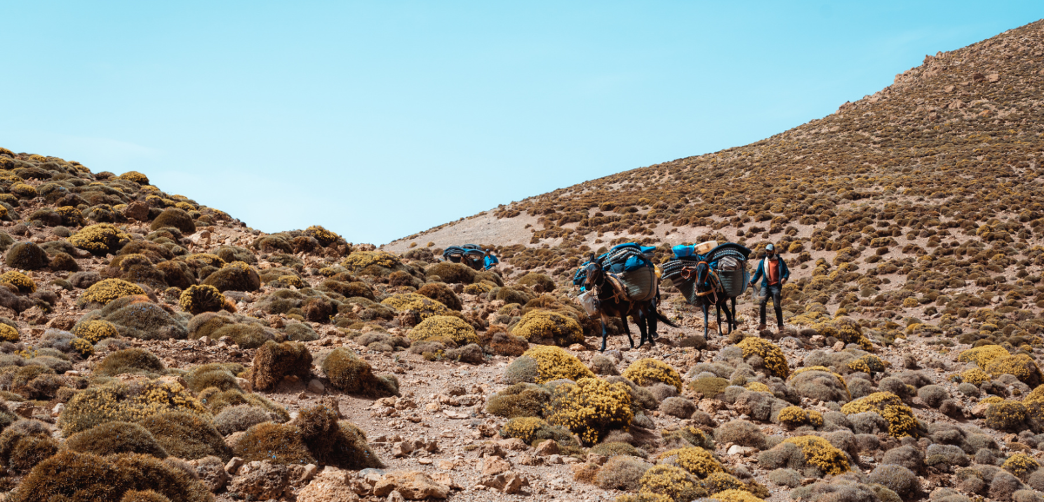 Avec l'aide de vos compagnons de route