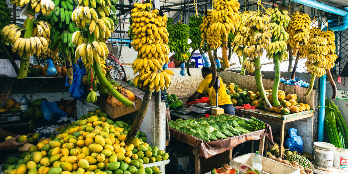 Marché de Malé, Maldives 