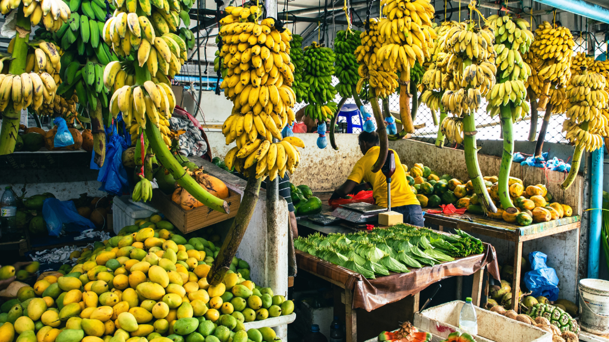 Marché de Malé, Maldives