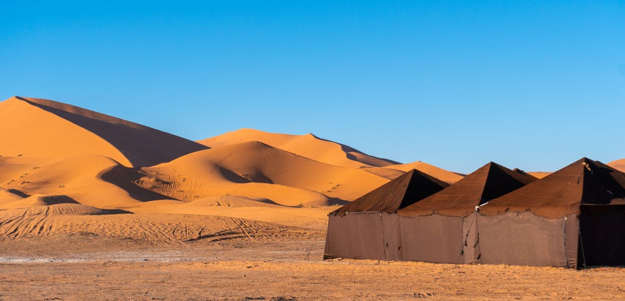Et dormez en bivouac au coeur du désert