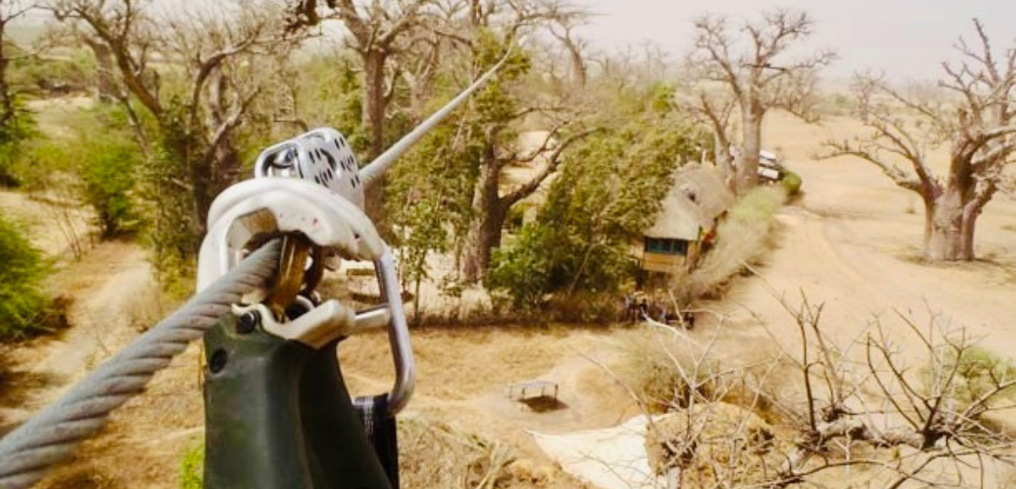 Descendez sur la plus longue tyrolienne tendue entre deux arbres