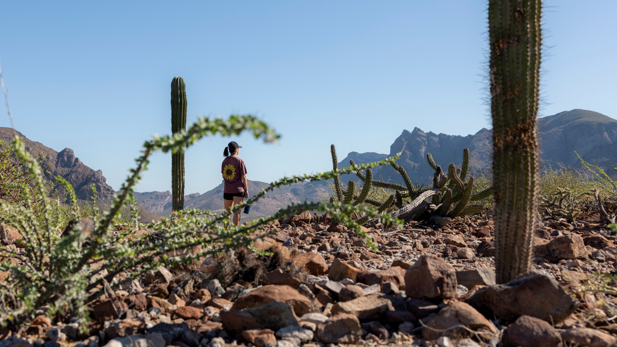 Randonnée Mirador Balandra, Baja California, Mexique ©Julien Fabro