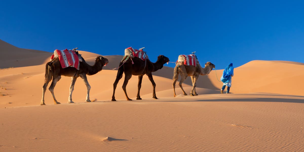 La caravane passe...