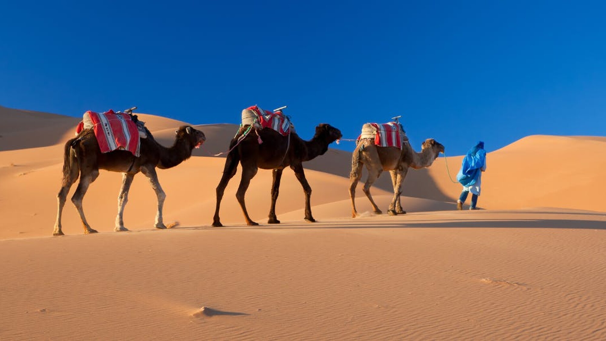 La caravane passe...