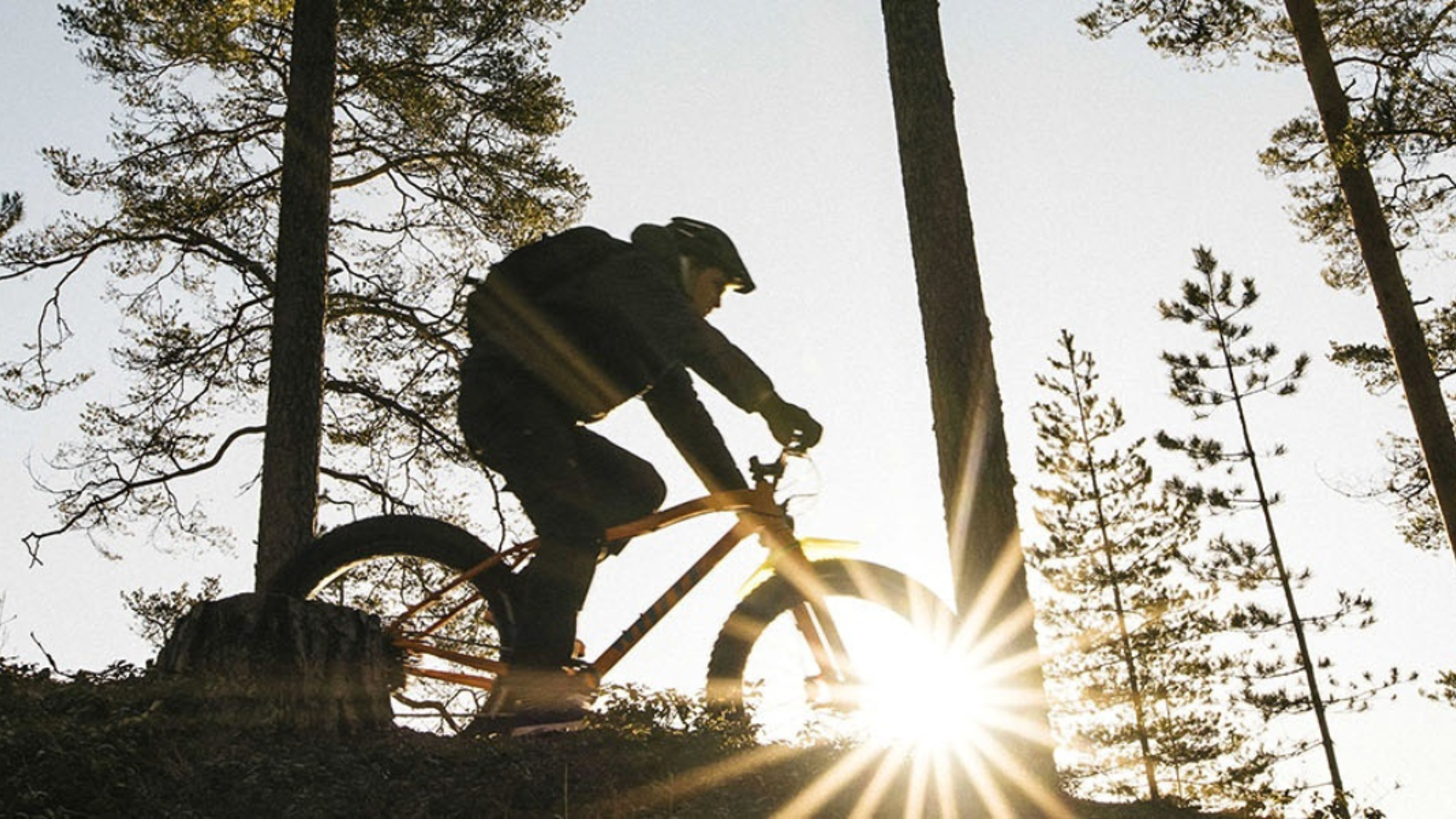 Enfourchez vos VTT à travers la Taïga
