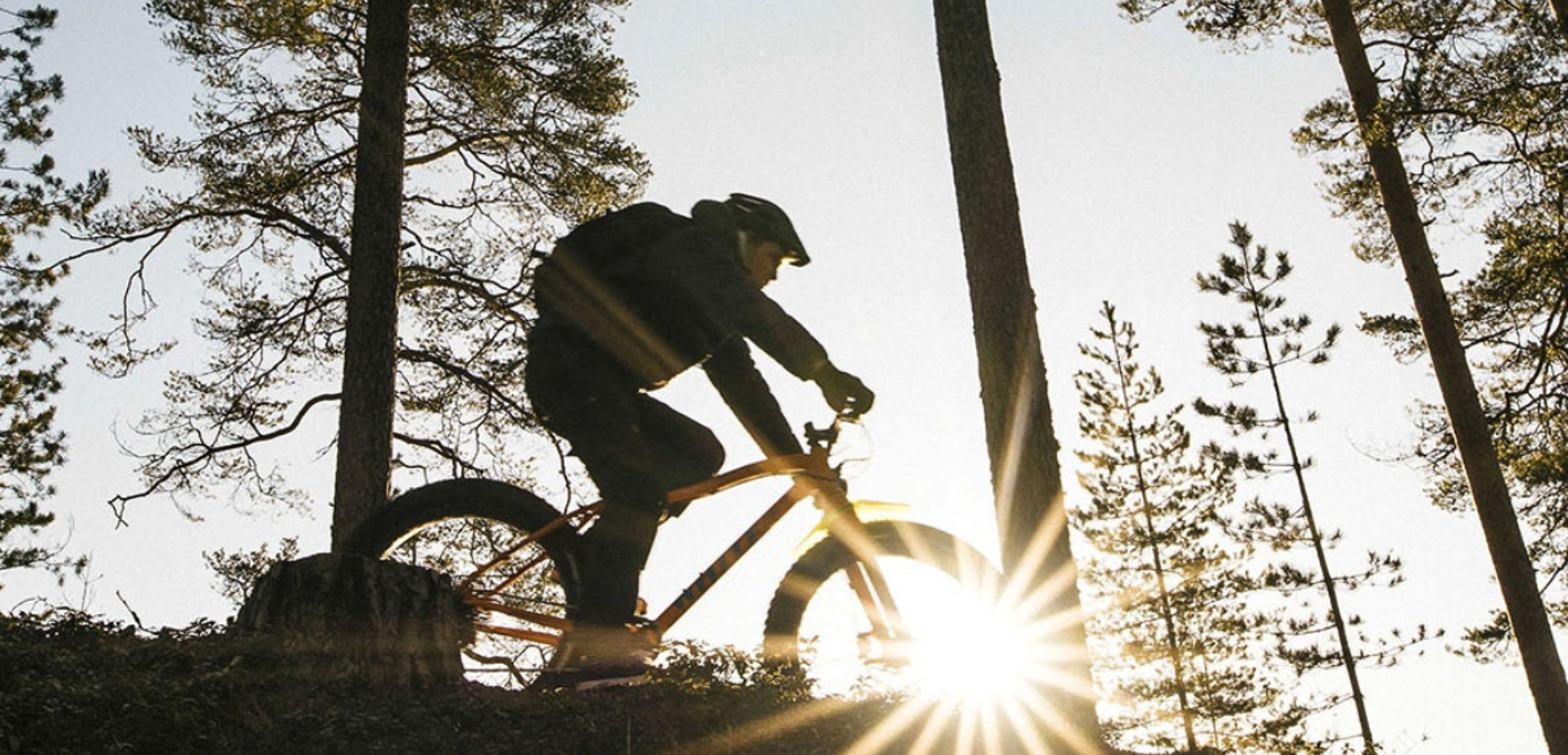 Enfourchez vos VTT à travers la Taïga