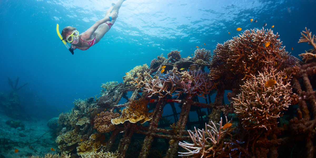 Et plongez à la recherche de l'épave