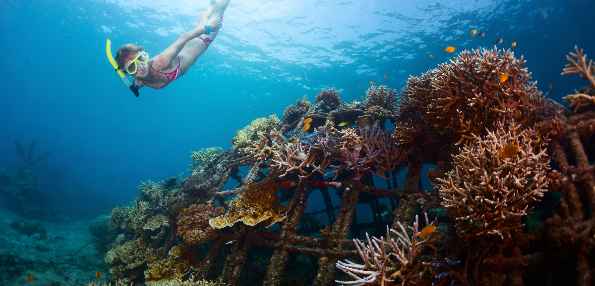 Et plongez à la recherche de l'épave