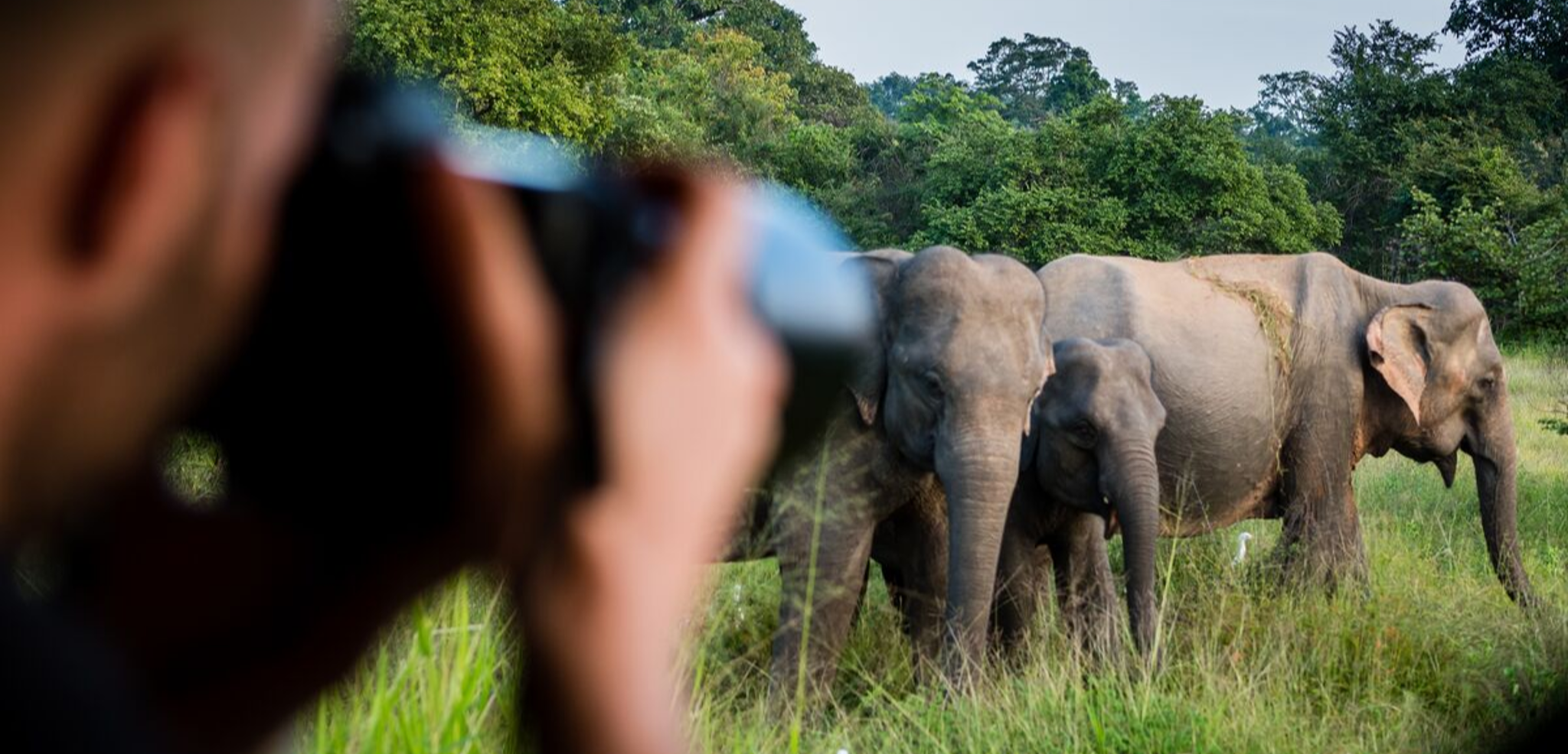 A la chasse aux bonnes photos !
