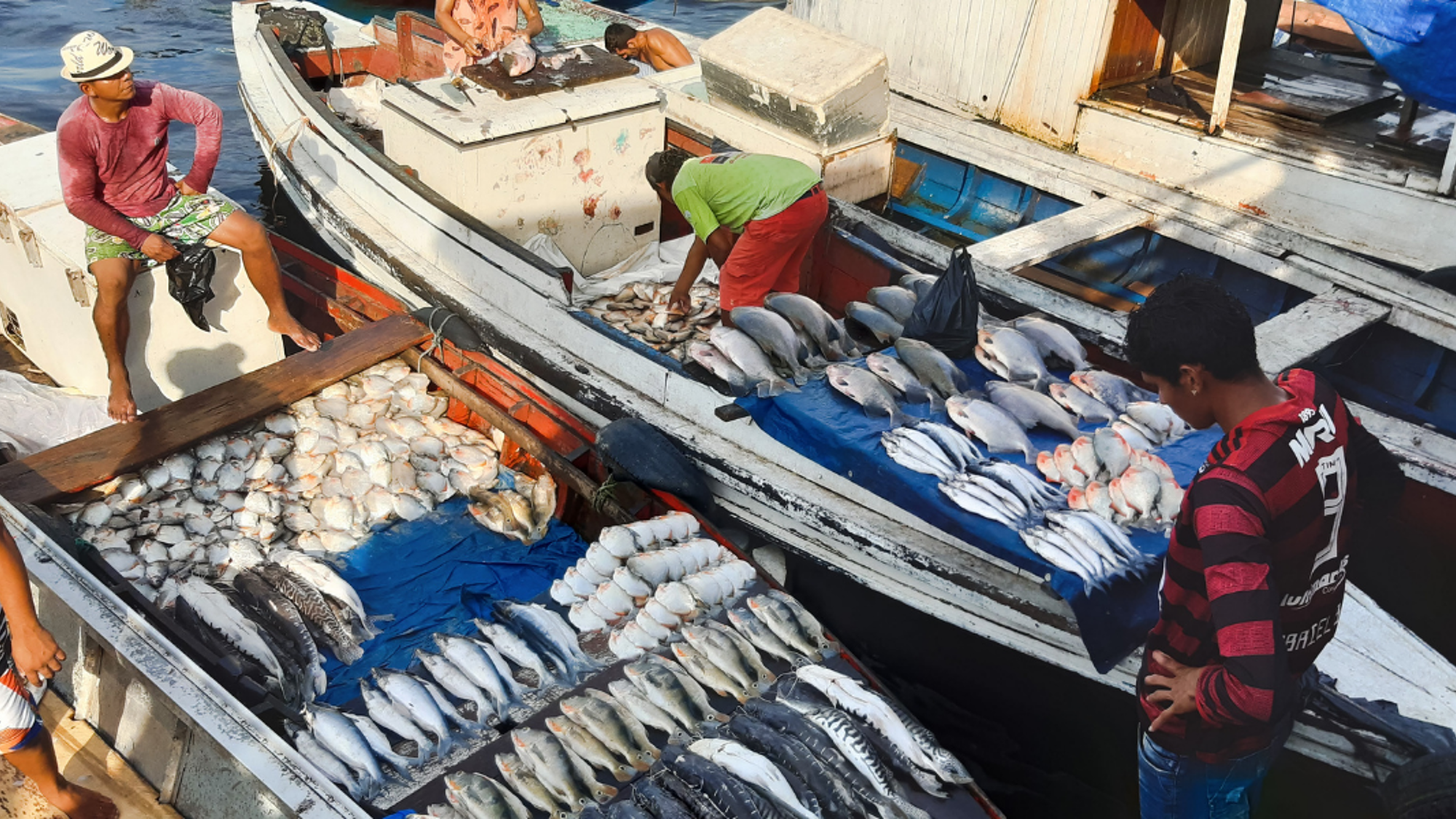 Marché aux poissons de Manaus
