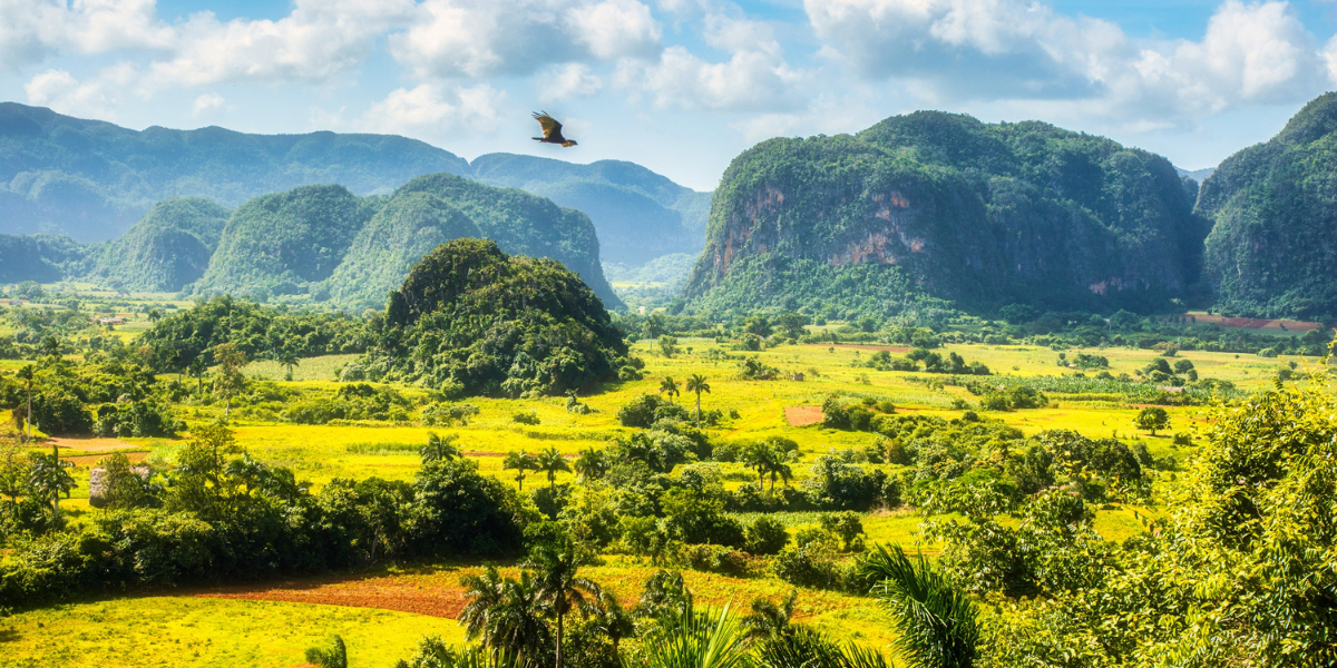 Vallée de Viñales et ses mogotes