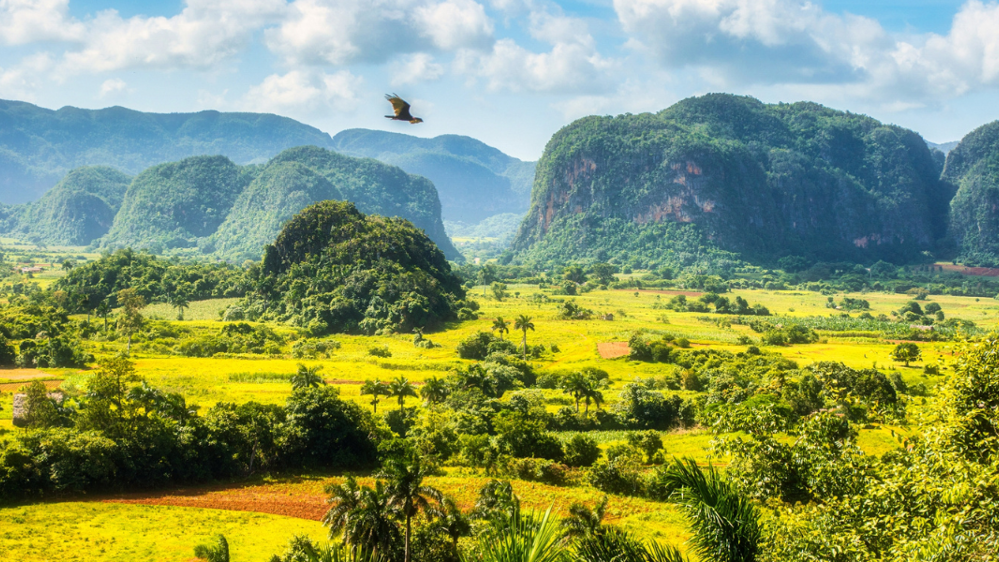 Vallée de Viñales et ses mogotes