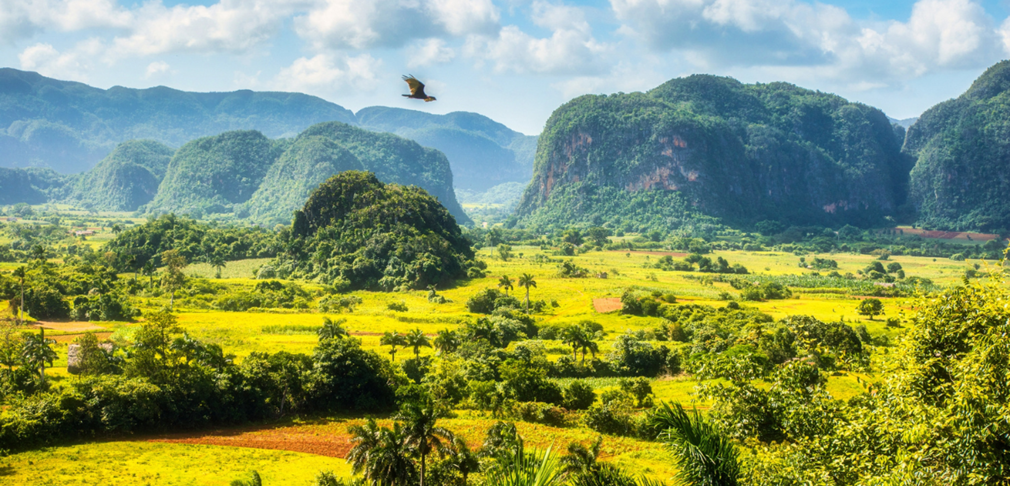 Vallée de Viñales et ses mogotes