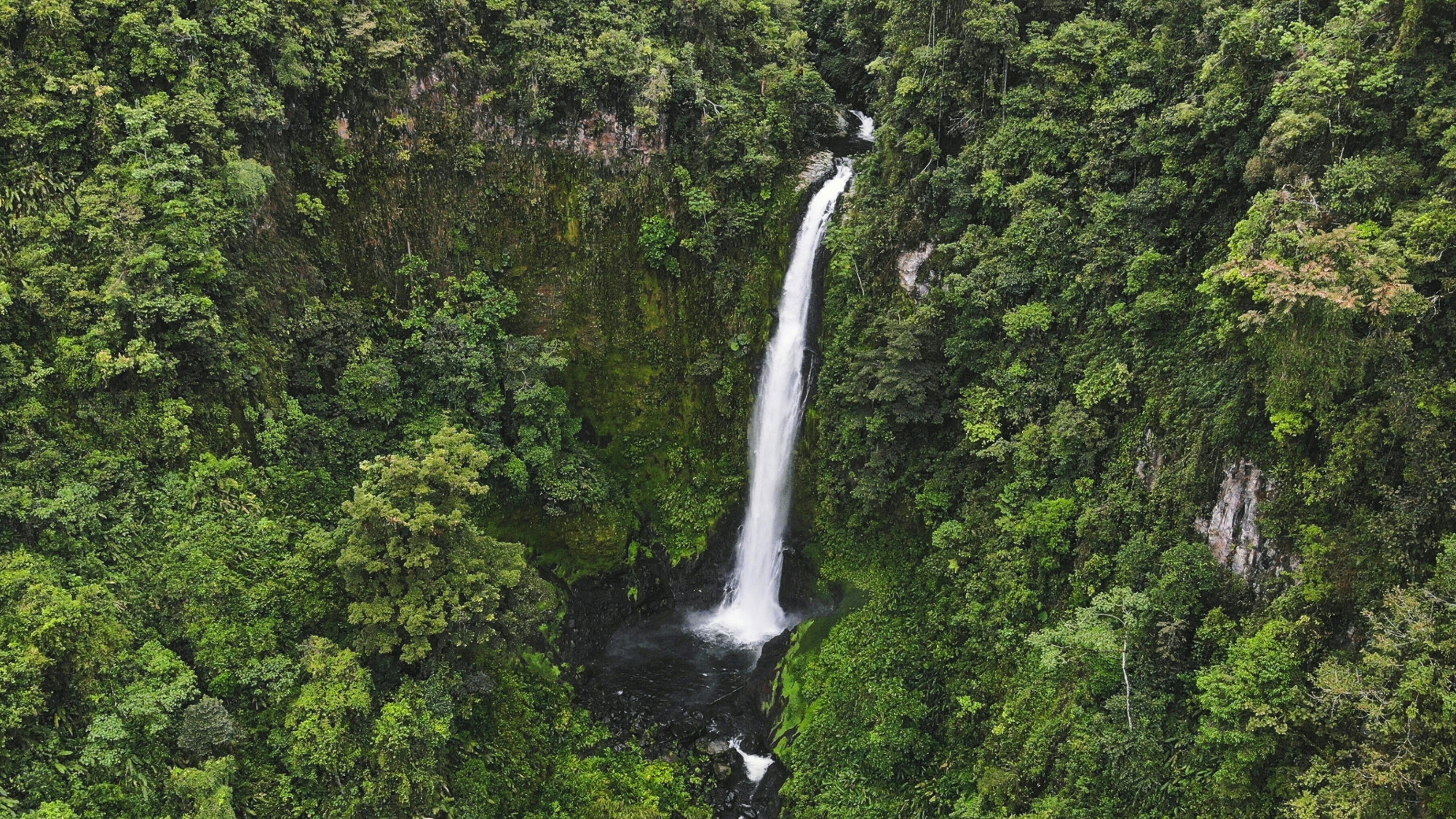 Tapantí, Costa Rica
