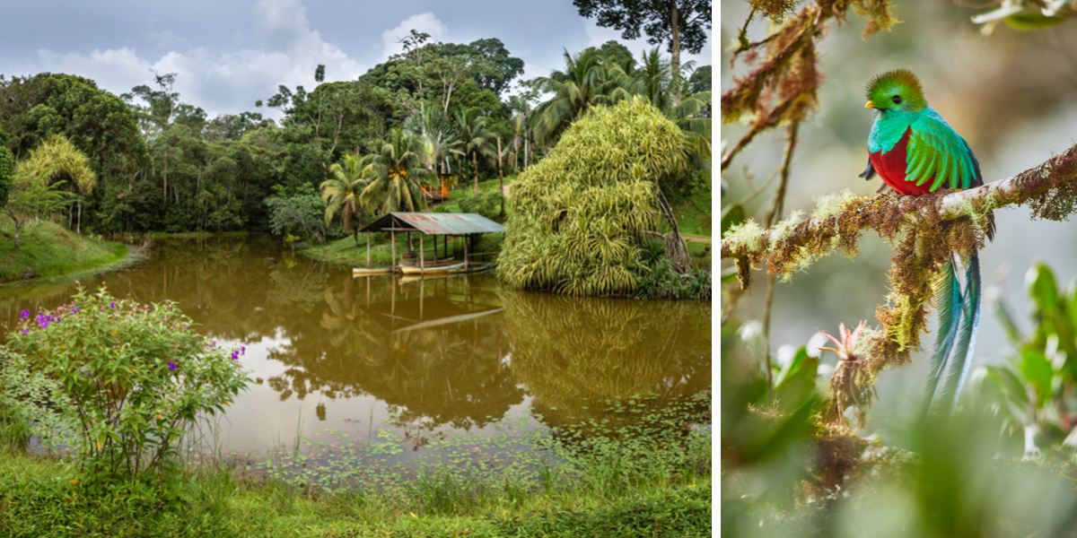 Et de la nature luxuriante du Costa Rica ! 