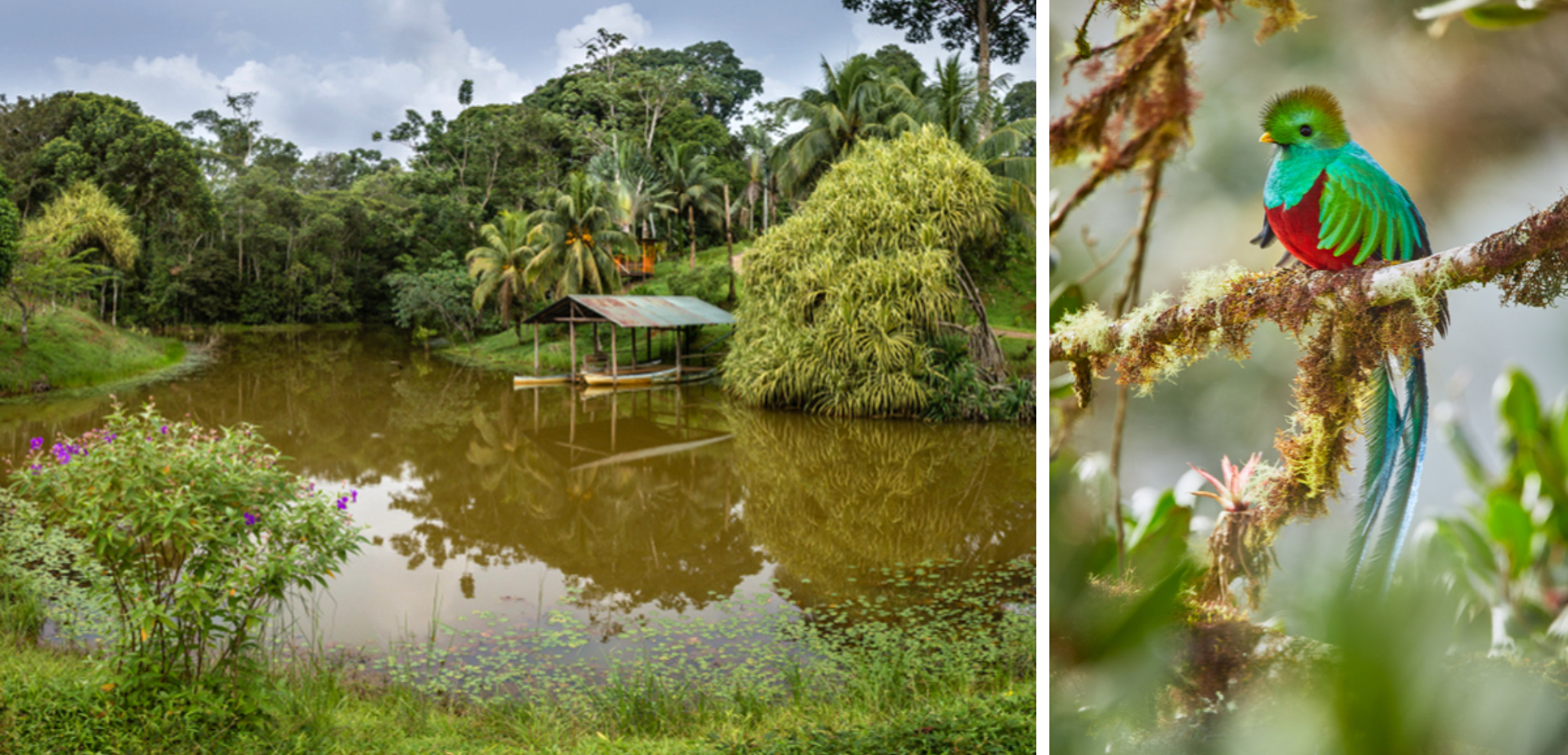 Et de la nature luxuriante du Costa Rica !
