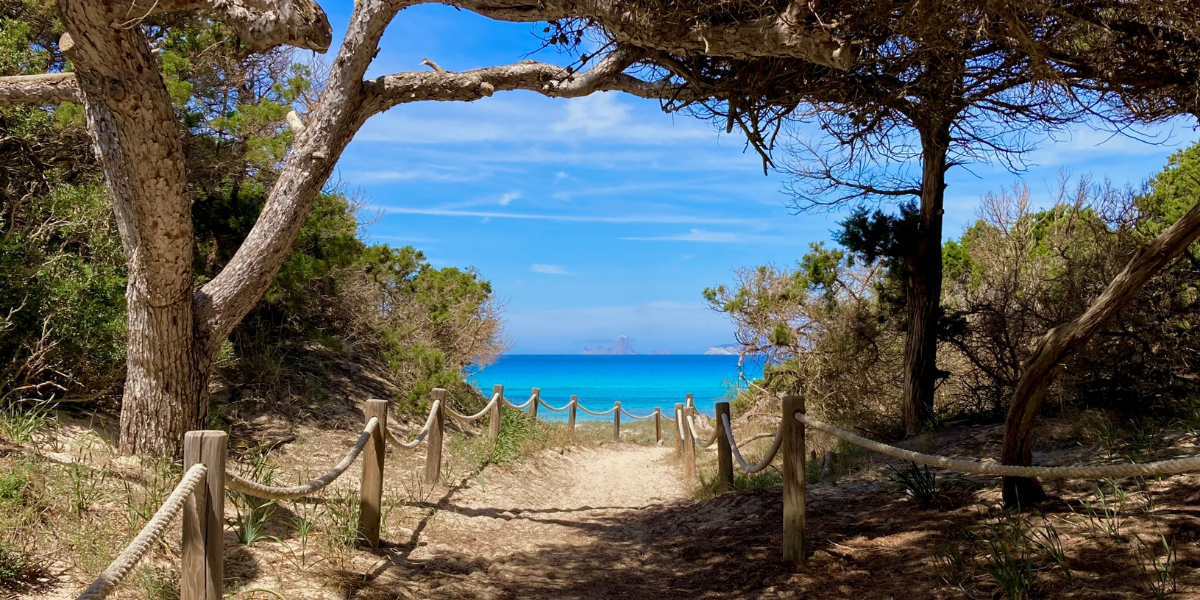 Dans des paysages de rêves