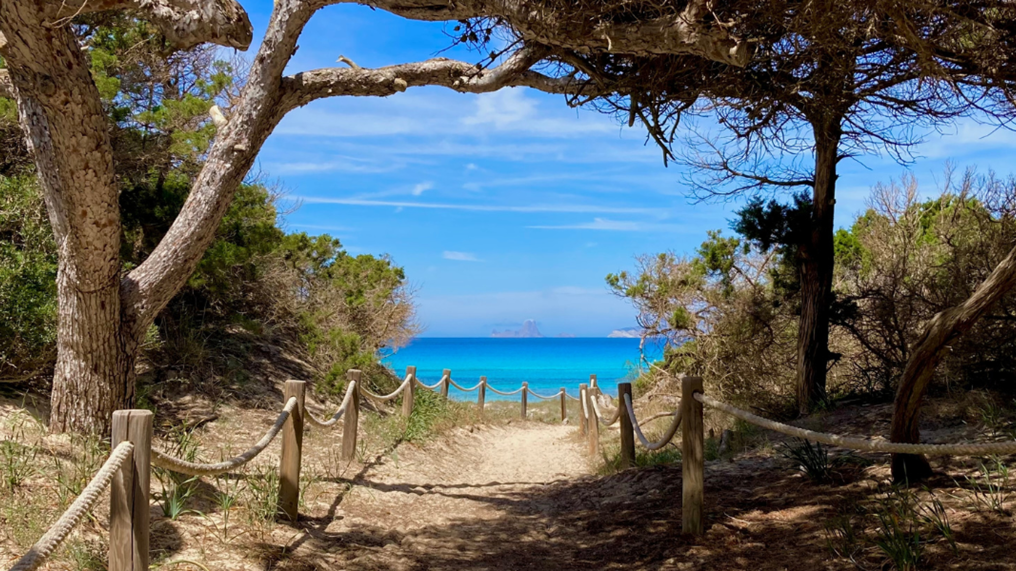 Dans des paysages de rêves