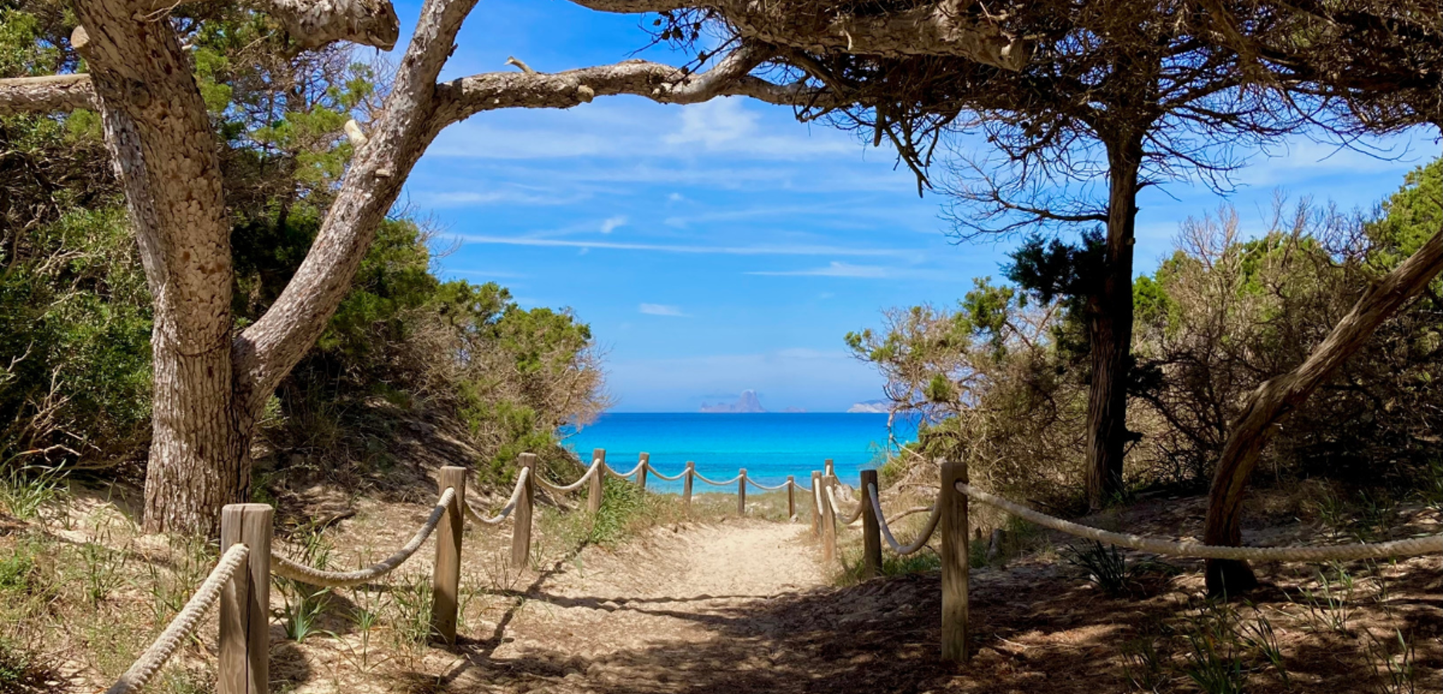 Dans des paysages de rêves