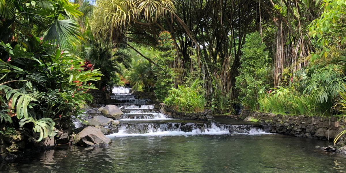 parfaitement intégrées à l'environnement